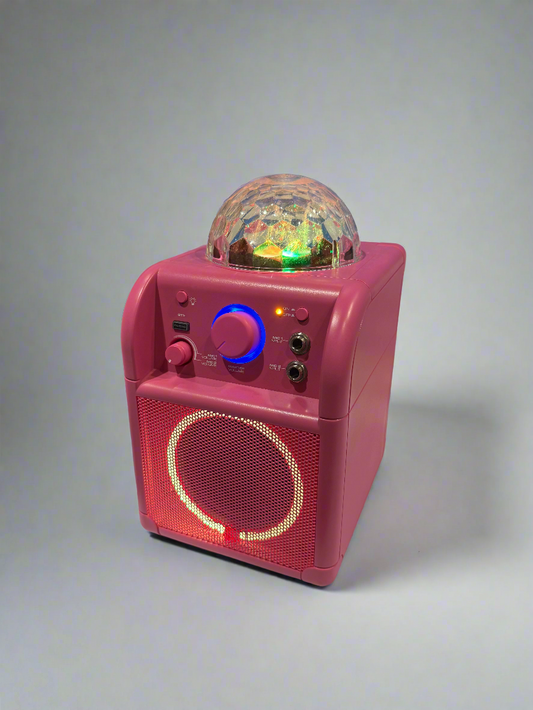 Karaoke with 2 wired microphones
