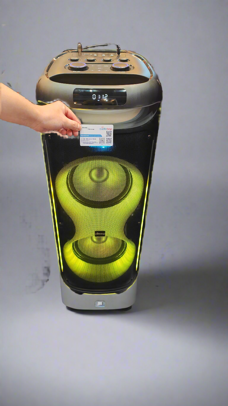 Party speaker