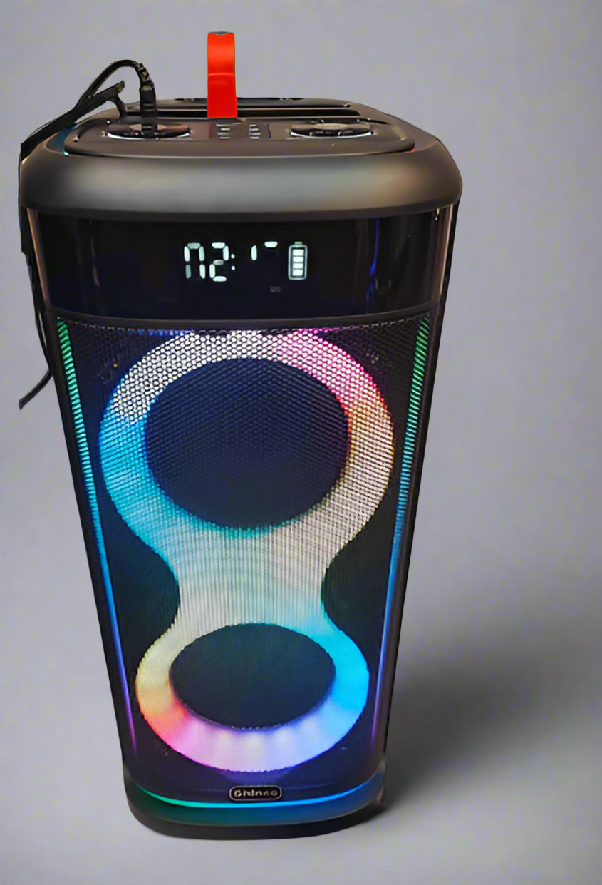 Party speaker