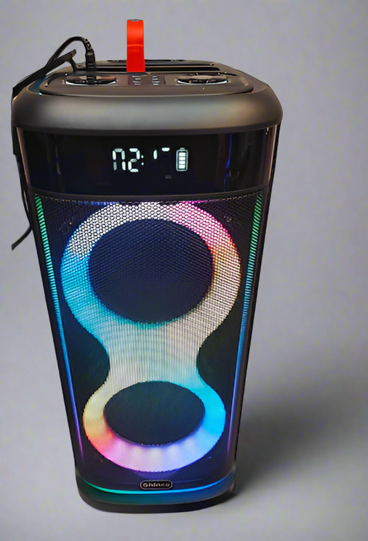 Party speaker
