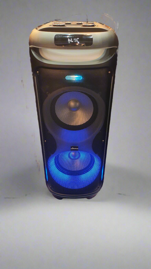 Party speaker